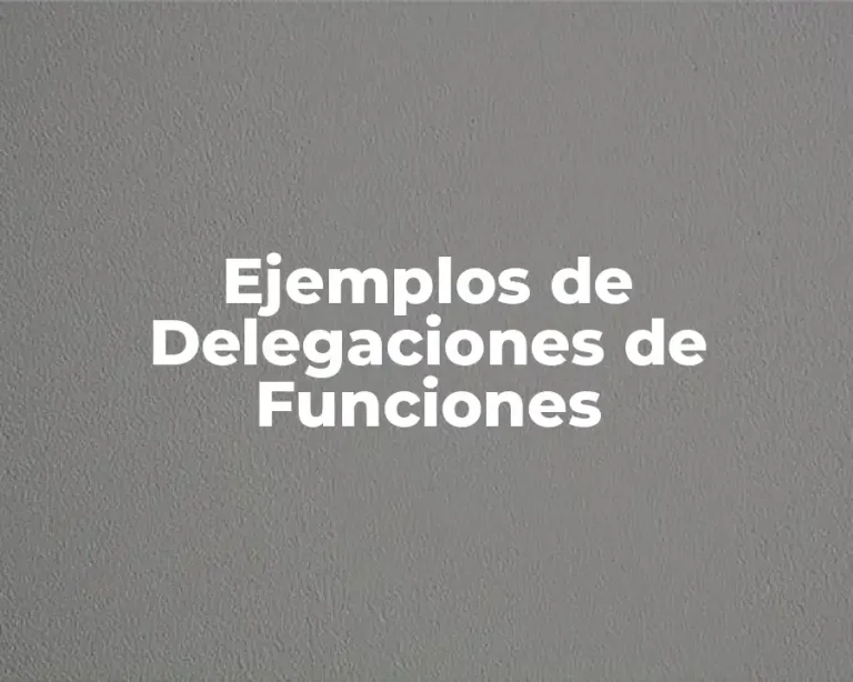 Ejemplos de Delegaciones de Funciones