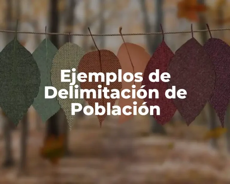 Ejemplos de Delimitación de Población