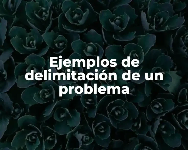 Ejemplos de delimitación de un problema