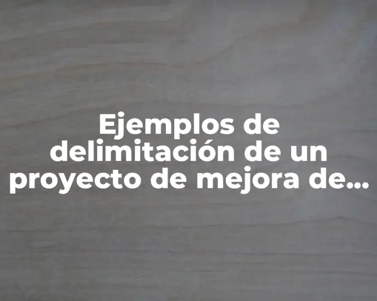 Ejemplos de delimitación de un proyecto de mejora de inventario