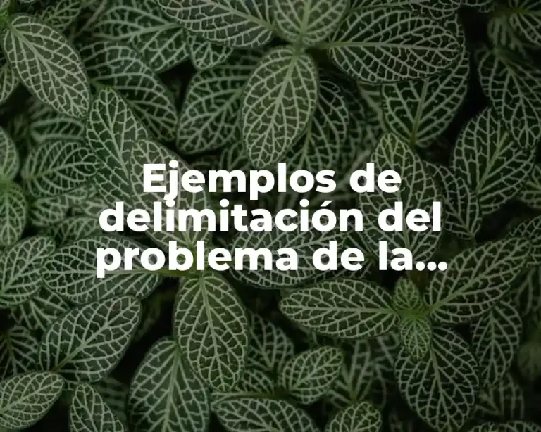 Ejemplos de delimitación del problema de la obesidad