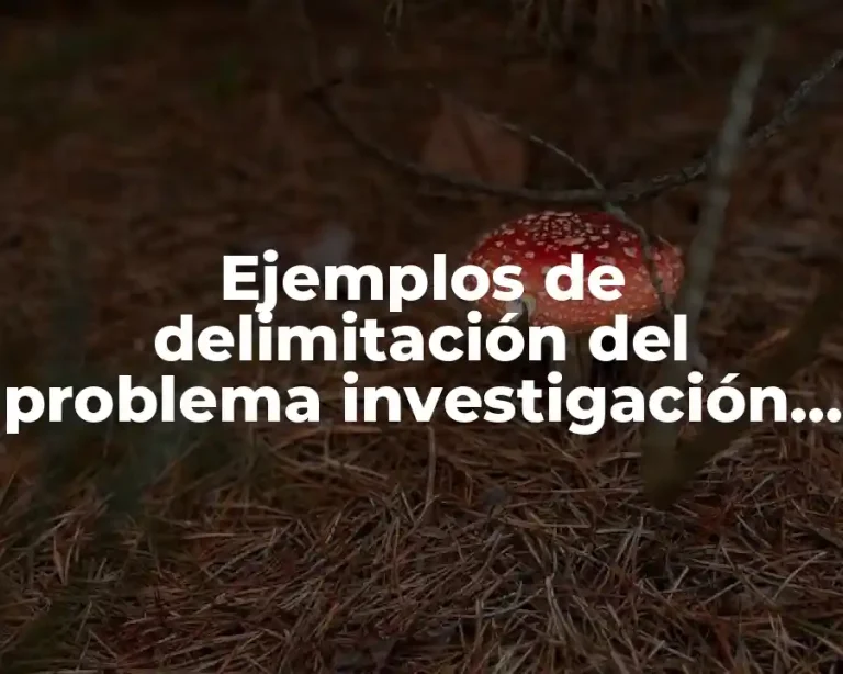 Ejemplos de delimitación del problema investigación de mercado
