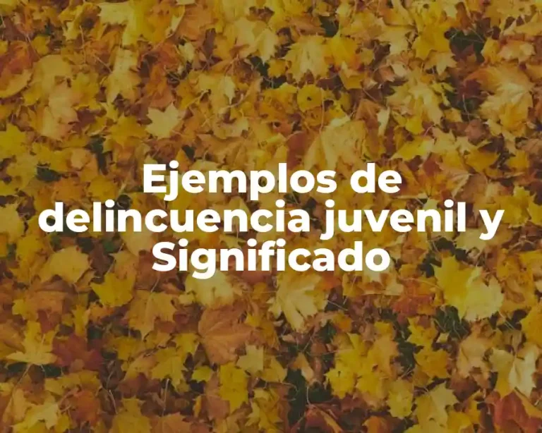 Ejemplos de delincuencia juvenil y Significado