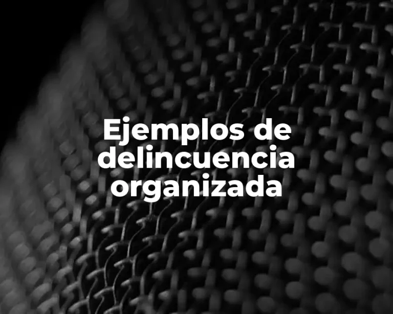 Ejemplos de delincuencia organizada