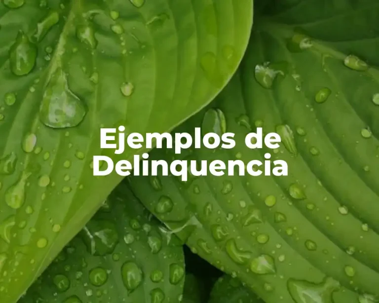 Ejemplos de Delinquencia