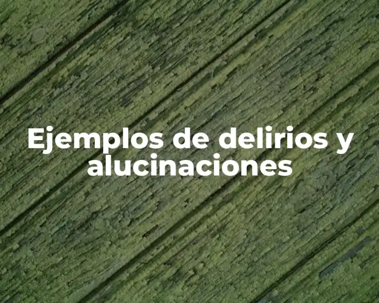 Ejemplos de delirios y alucinaciones