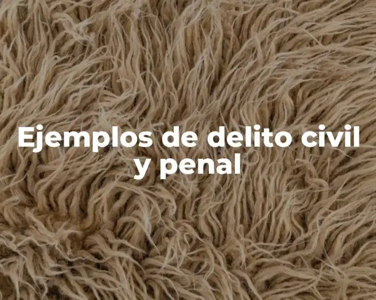 Ejemplos de delito civil y penal