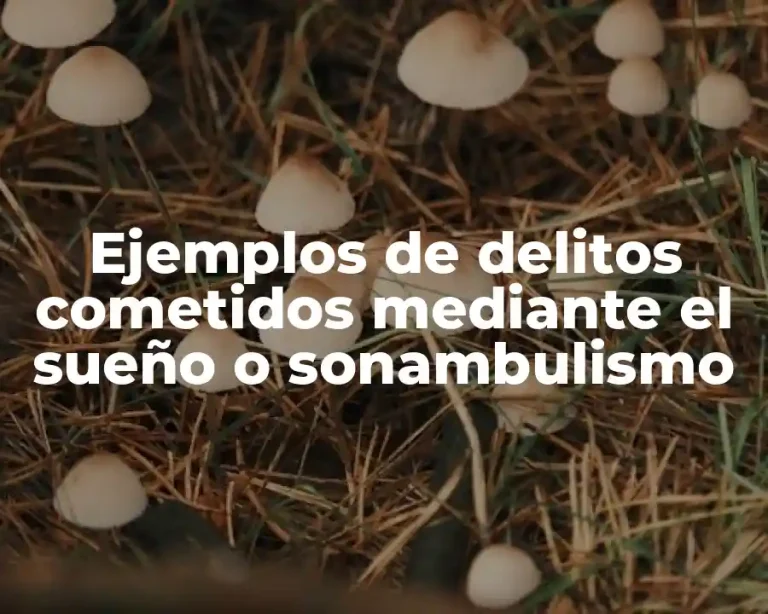 Ejemplos de delitos cometidos mediante el sueño o sonambulismo