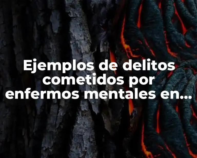 Ejemplos de delitos cometidos por enfermos mentales en México