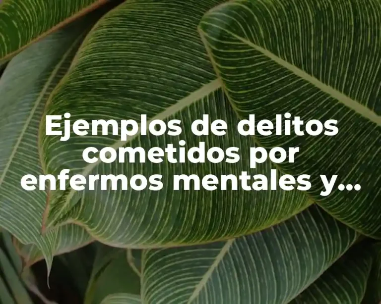 Ejemplos de delitos cometidos por enfermos mentales y Significado