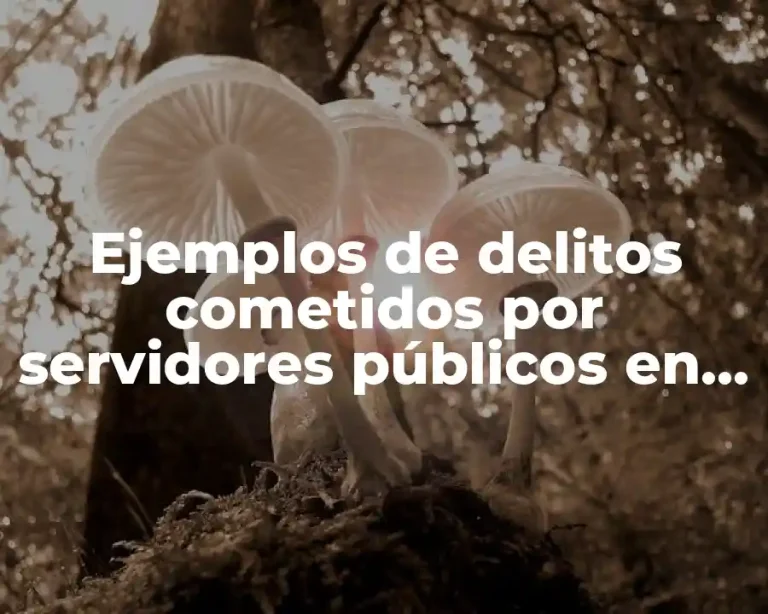 Ejemplos de delitos cometidos por servidores públicos en México