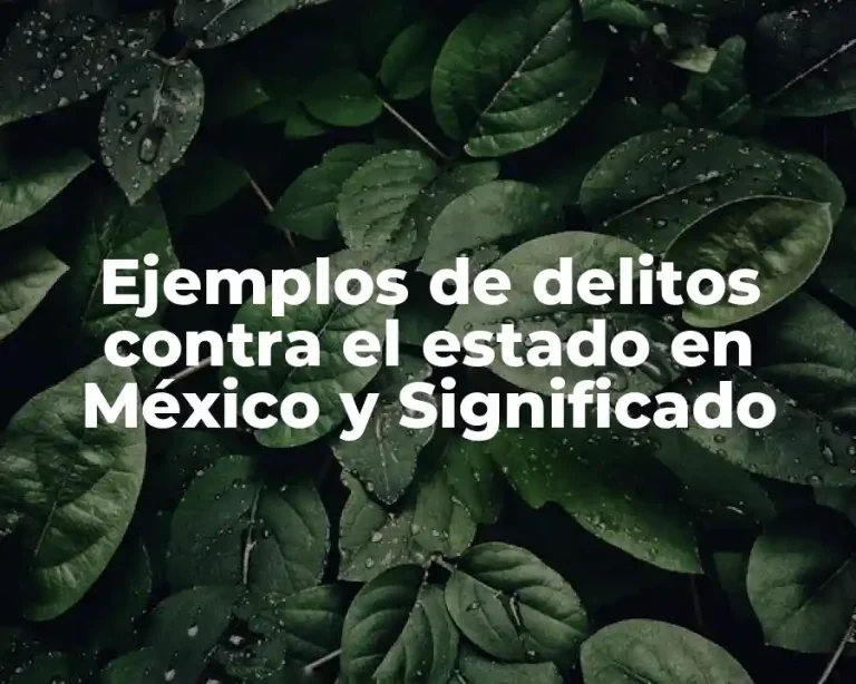 Ejemplos de delitos contra el estado en México y Significado