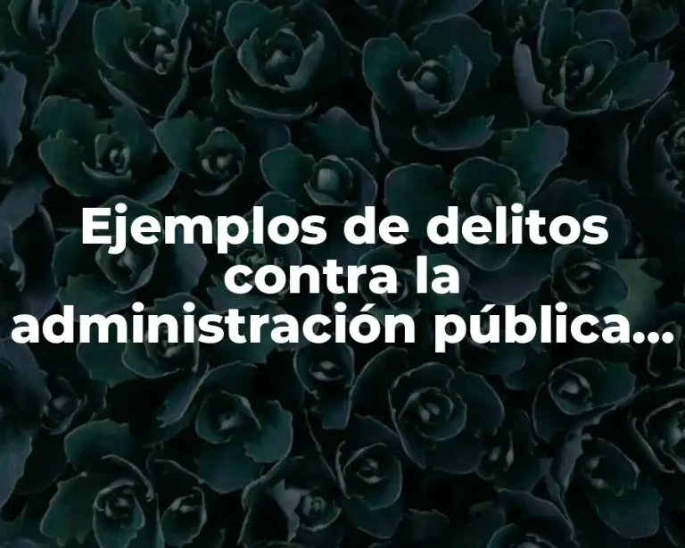 Ejemplos de delitos contra la administración pública en el Perú