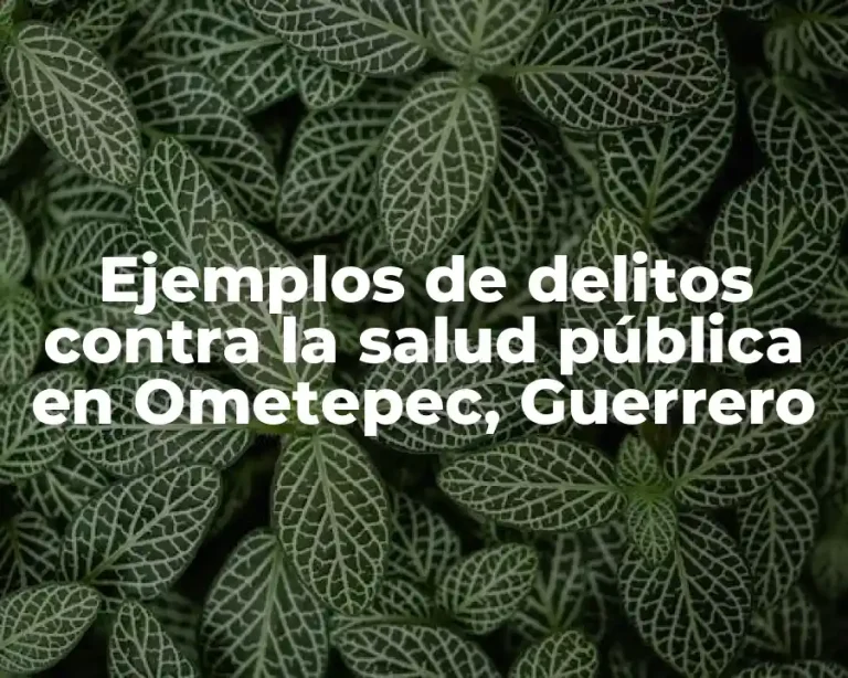 Ejemplos de delitos contra la salud pública en Ometepec, Guerrero