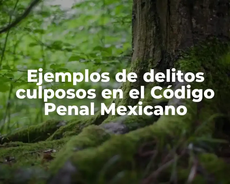 Ejemplos de delitos culposos en el Código Penal Mexicano