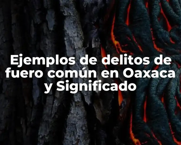 Ejemplos de delitos de fuero común en Oaxaca y Significado