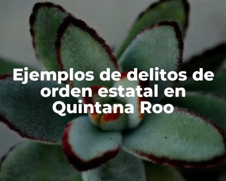 Ejemplos de delitos de orden estatal en Quintana Roo