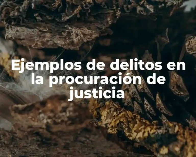 Ejemplos de delitos en la procuración de justicia