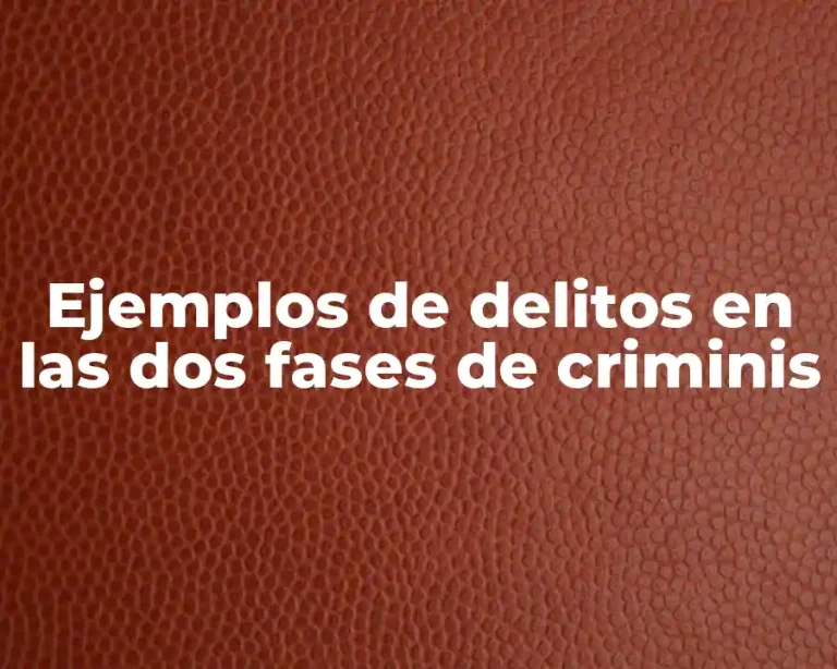 Ejemplos de delitos en las dos fases de criminis
