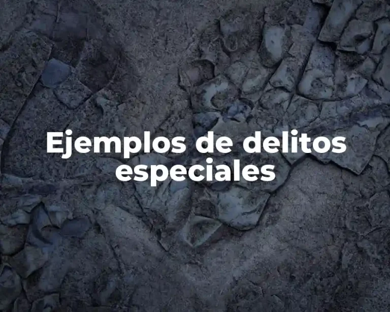 Ejemplos de delitos especiales