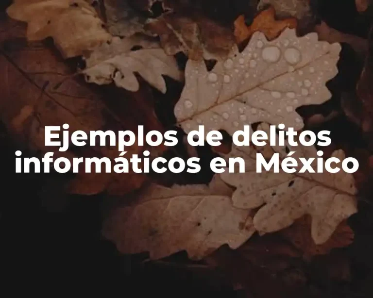 Ejemplos de delitos informáticos en México
