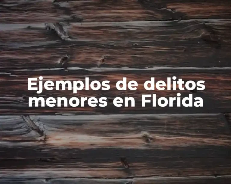 Ejemplos de delitos menores en Florida