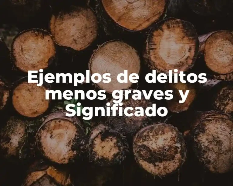 Ejemplos de delitos menos graves y Significado