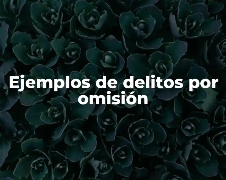 Ejemplos de delitos por omisión