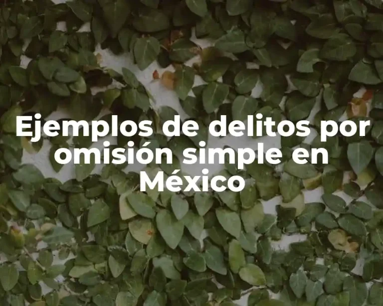 Ejemplos de delitos por omisión simple en México