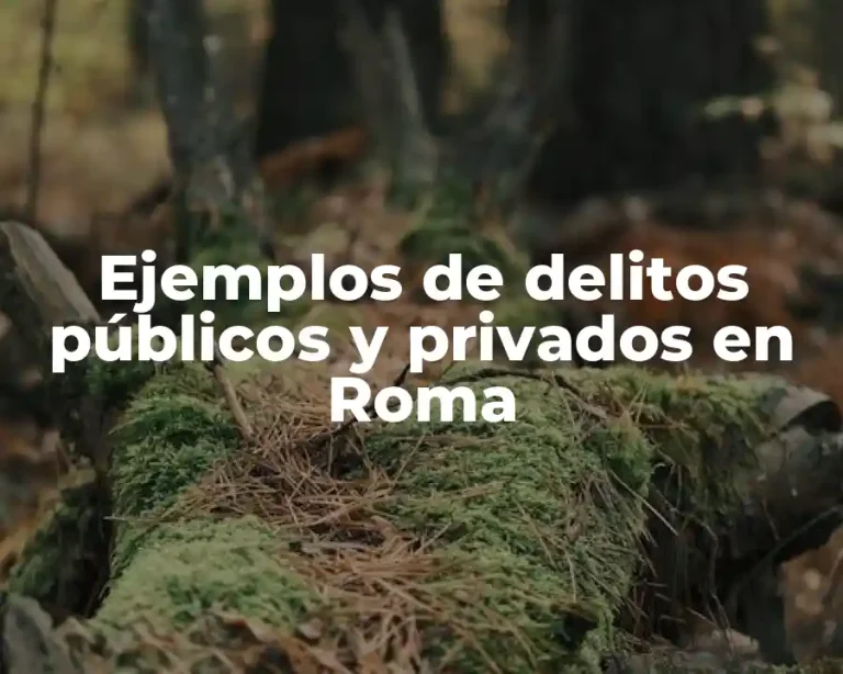 Ejemplos de delitos públicos y privados en Roma
