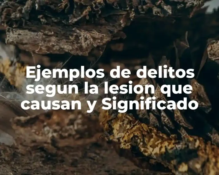 Ejemplos de delitos segun la lesion que causan y Significado
