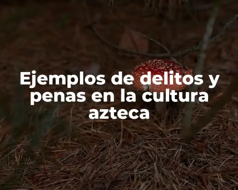Ejemplos de delitos y penas en la cultura azteca
