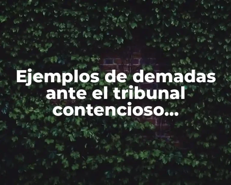 Ejemplos de demadas ante el tribunal contencioso administrativo de Tabasco y Significado