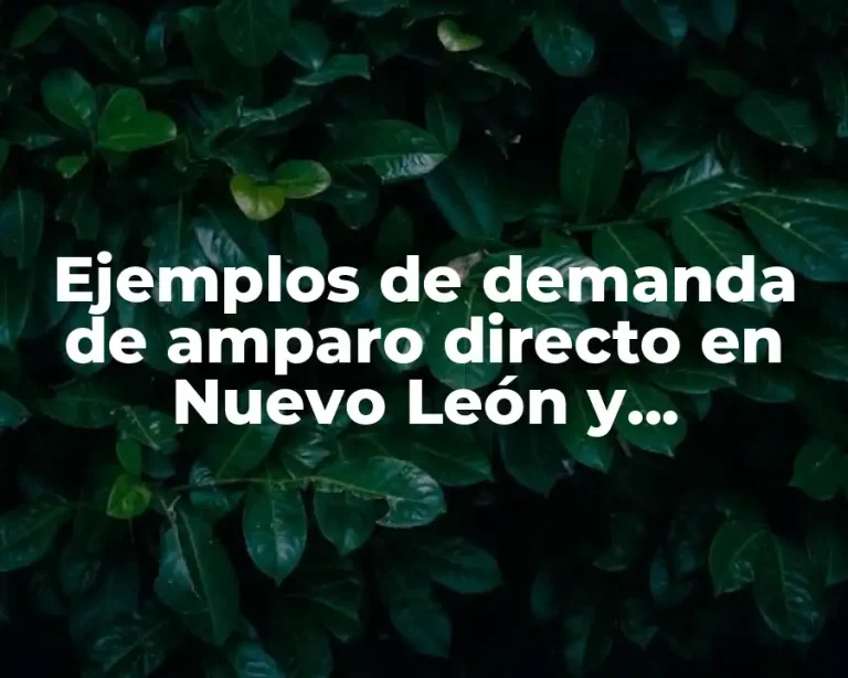 Ejemplos de demanda de amparo directo en Nuevo León y Significado