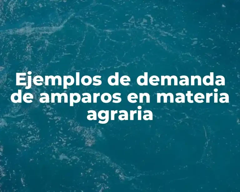 Ejemplos de demanda de amparos en materia agraria