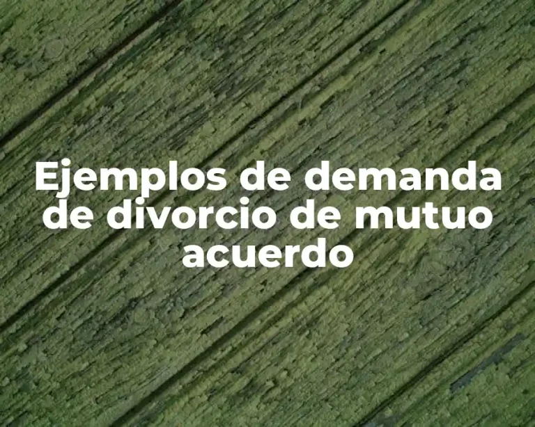 Ejemplos de demanda de divorcio de mutuo acuerdo