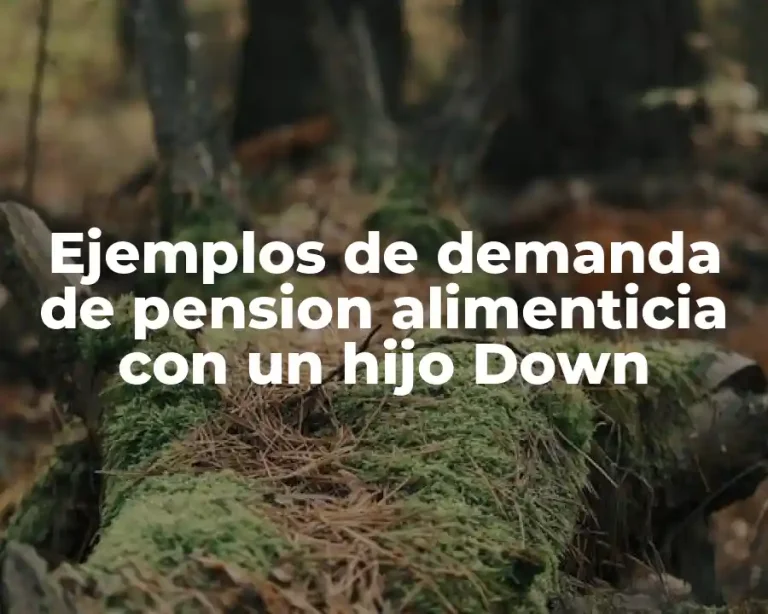 Ejemplos de demanda de pension alimenticia con un hijo Down