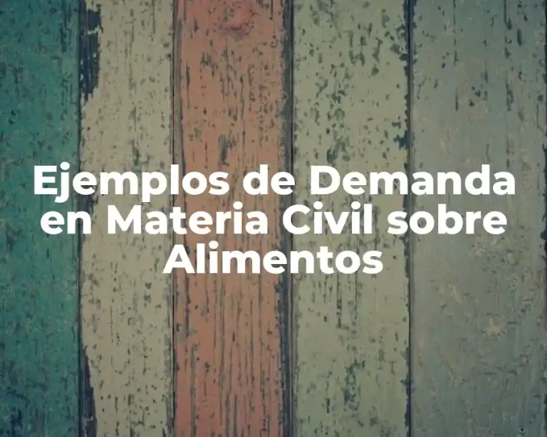 Ejemplos de Demanda en Materia Civil sobre Alimentos
