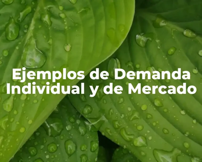 Ejemplos de Demanda Individual y de Mercado