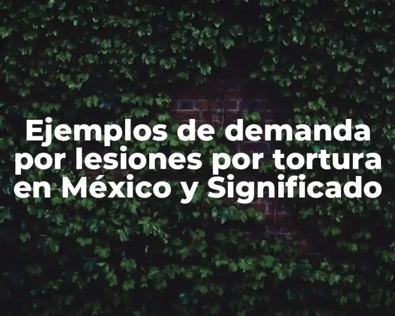 Ejemplos de demanda por lesiones por tortura en México y Significado