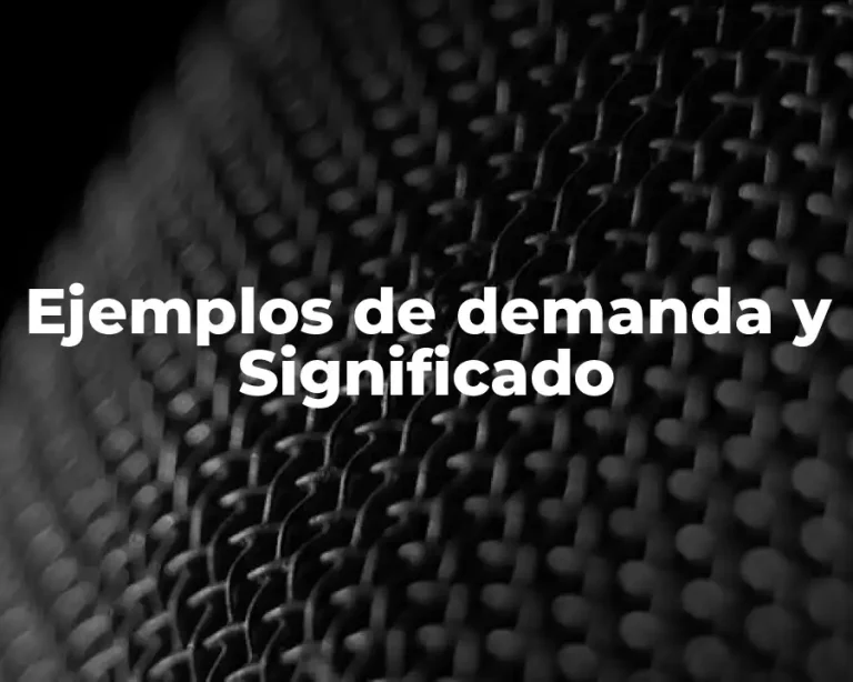 Ejemplos de demanda y Significado