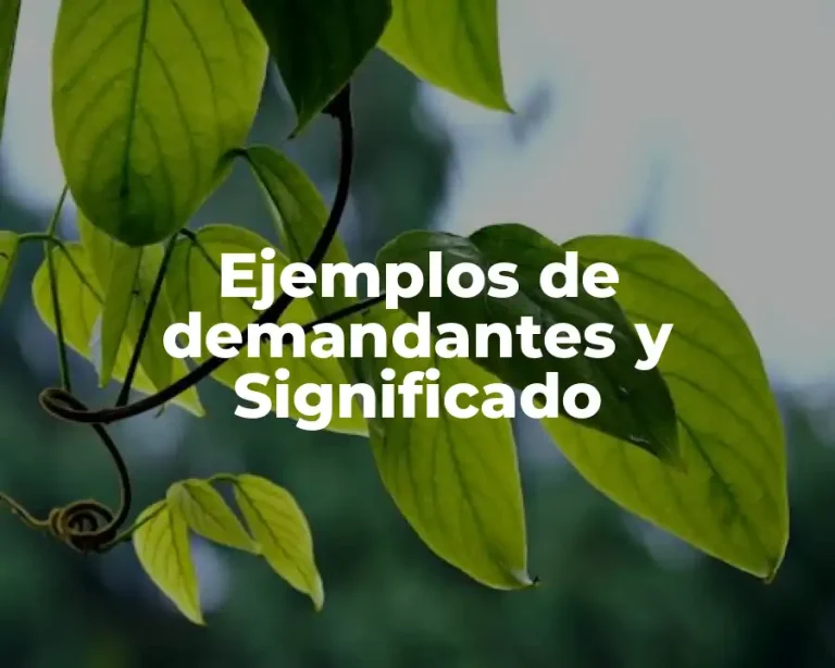 Ejemplos de demandantes y Significado