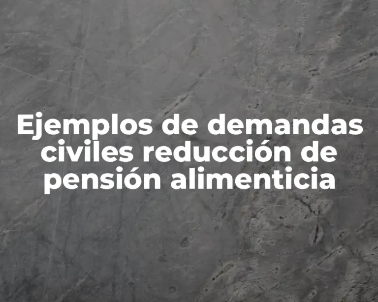 Ejemplos de demandas civiles reducción de pensión alimenticia