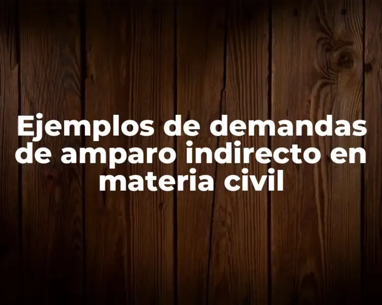 Ejemplos de demandas de amparo indirecto en materia civil
