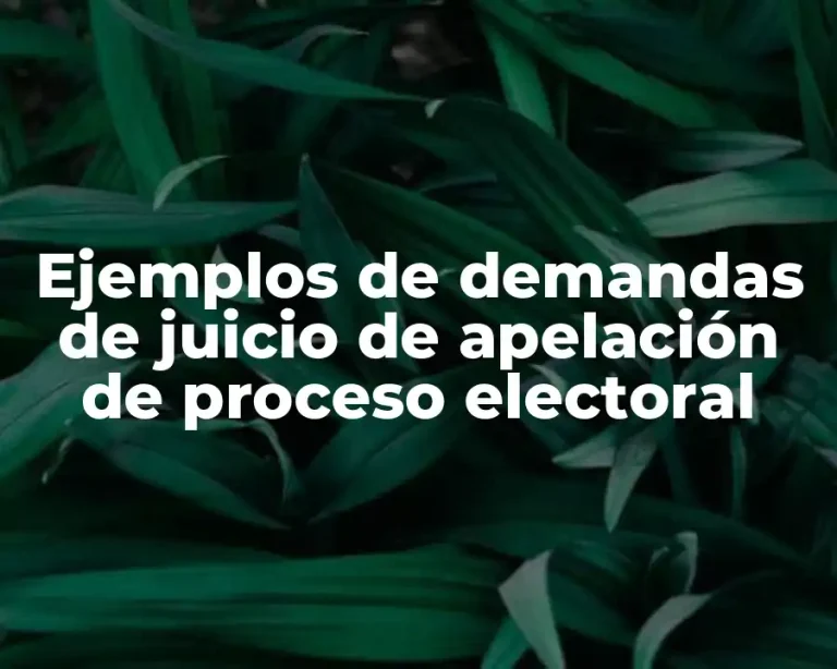 Ejemplos de demandas de juicio de apelación de proceso electoral