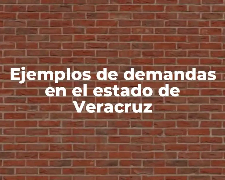 Ejemplos de demandas en el estado de Veracruz