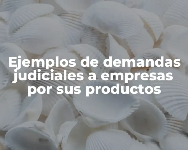 Ejemplos de demandas judiciales a empresas por sus productos