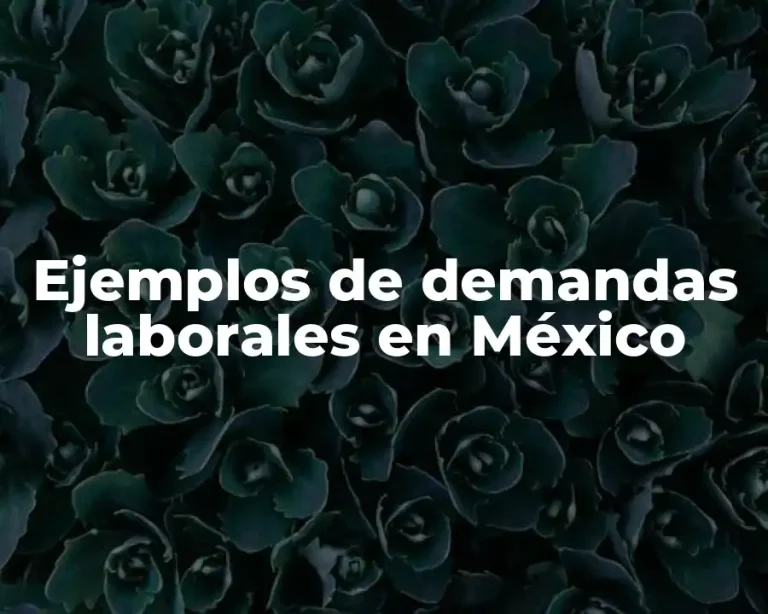 Ejemplos de demandas laborales en México