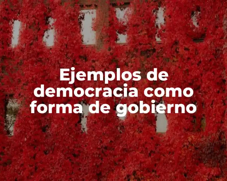 Ejemplos de democracia como forma de gobierno