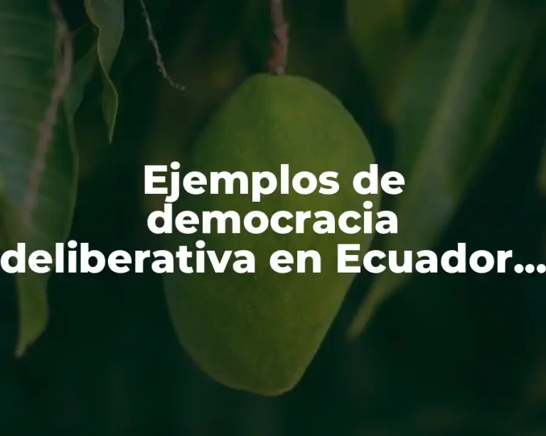 Ejemplos de democracia deliberativa en Ecuador y Significado